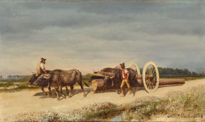 Bufalari nella Reale tenuta di San Rossore