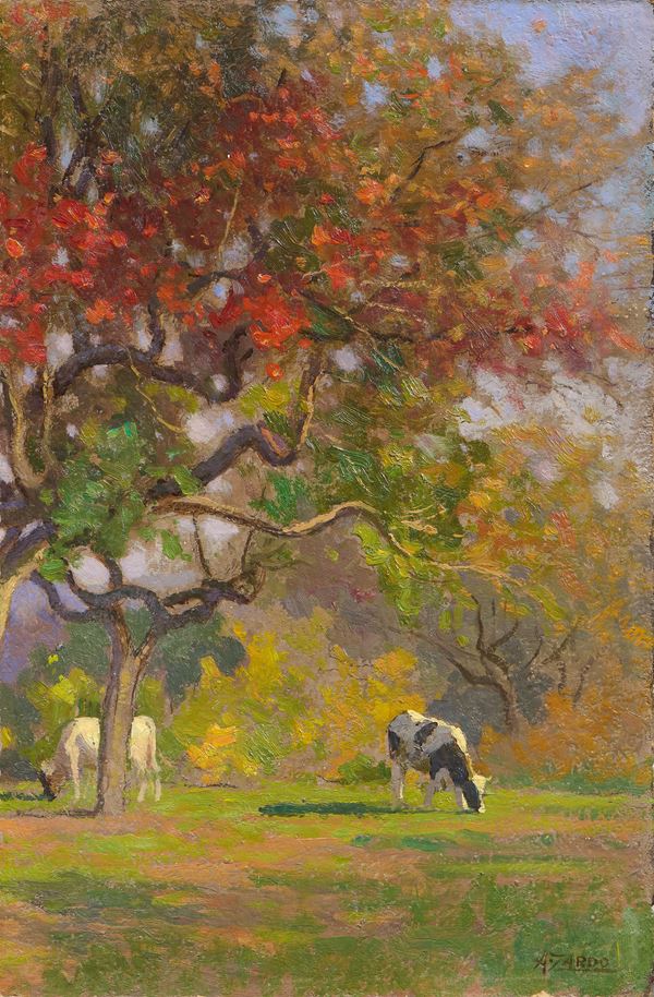 Alberto Zardo - Paesaggio