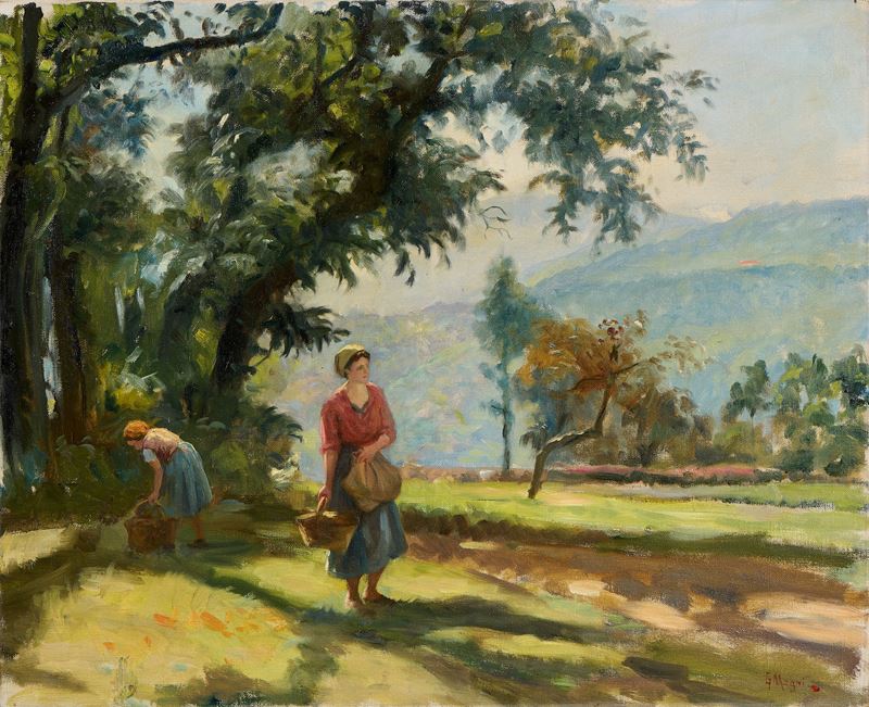 La raccolta delle castagne a Cireglio