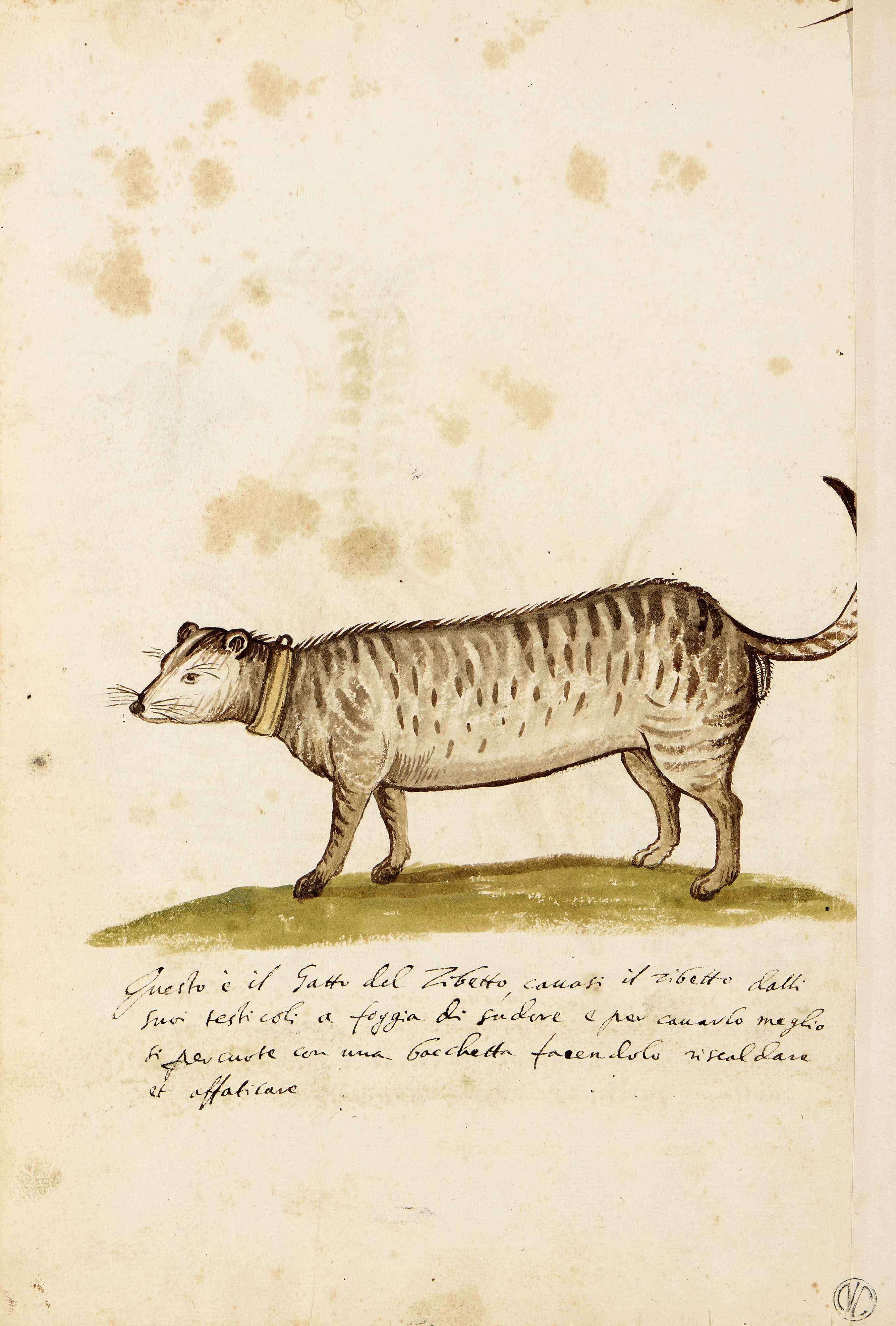 Tre pagine formato in folio