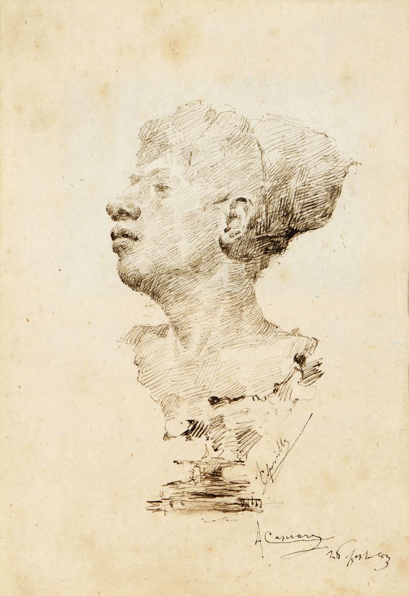 Studio di busto