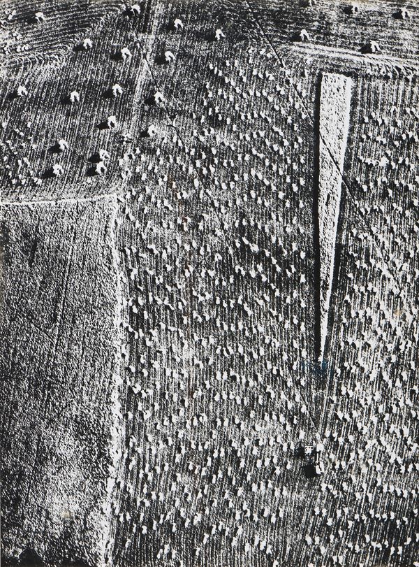 Mario Giacomelli : Presa di coscienza sulla natura  (1980)  - Fotografia in bianco e nero - Asta Dipinti, Disegni, Sculture e Grafica - Casa d'aste Farsettiarte