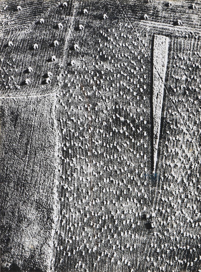 Mario Giacomelli - Presa di coscienza sulla natura, fotografia in bianco e nero