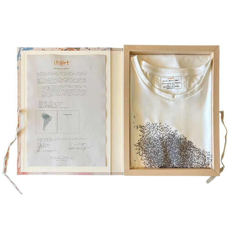 Formiche dell'Amazzonia