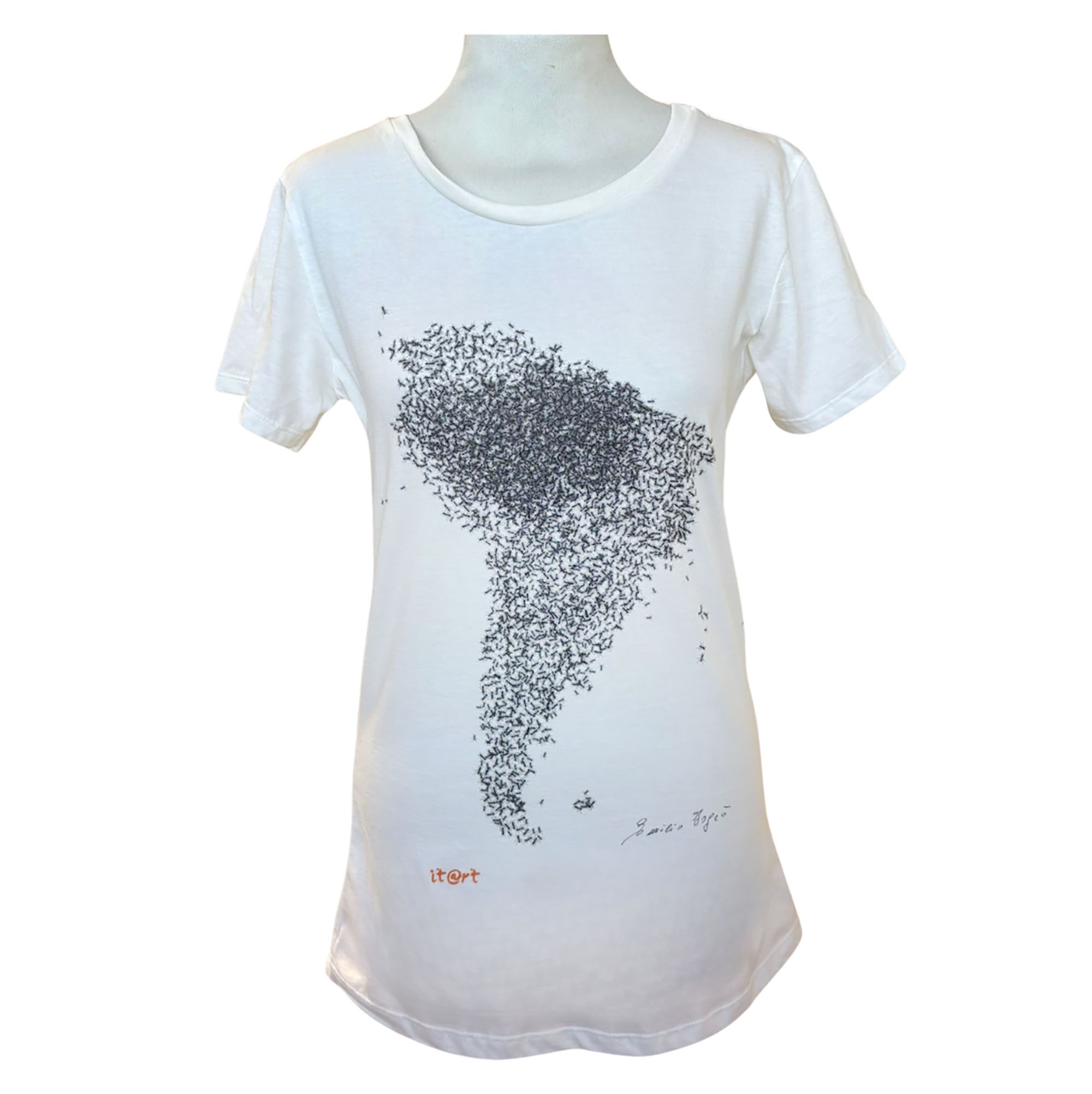 Formiche dell'Amazzonia