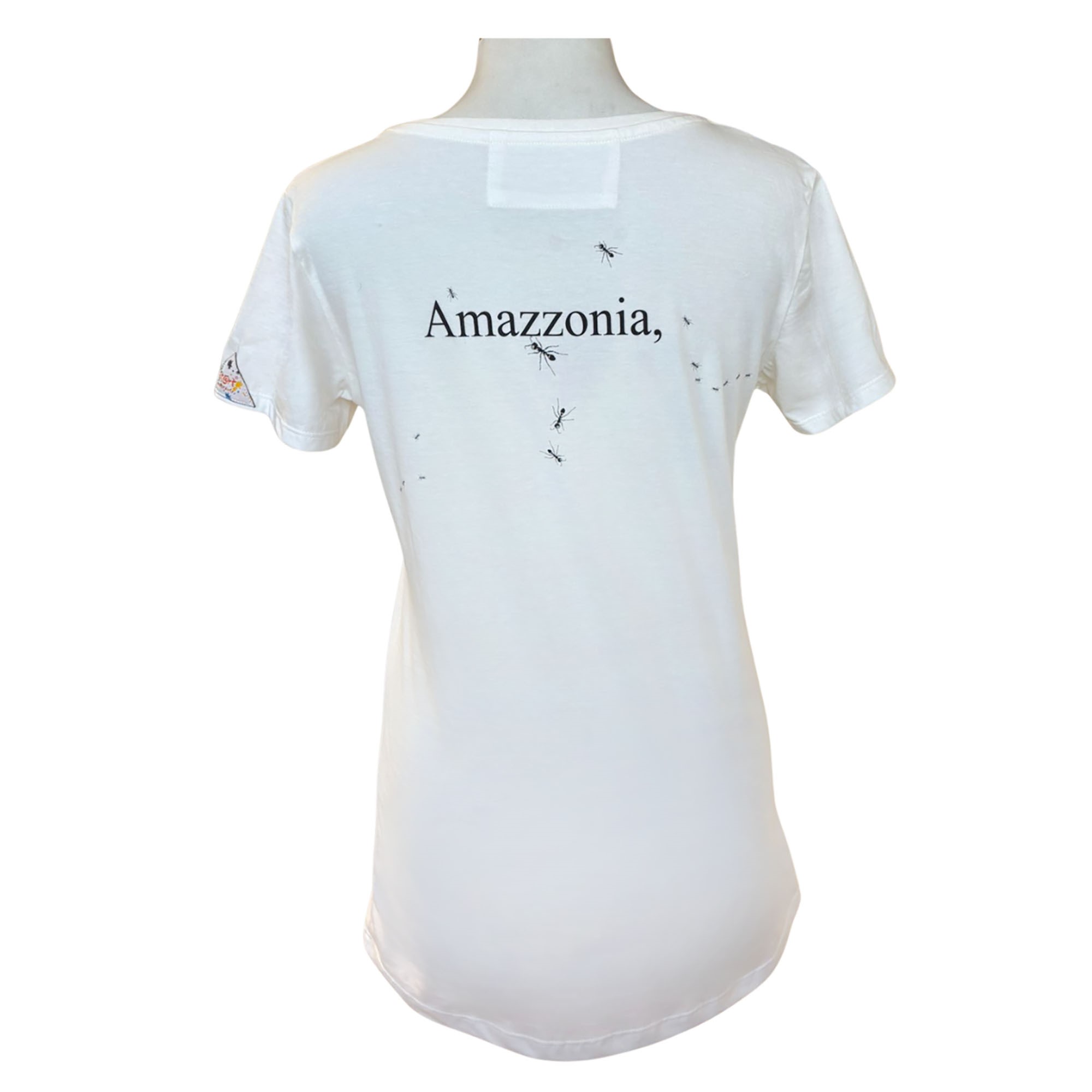 Formiche dell'Amazzonia