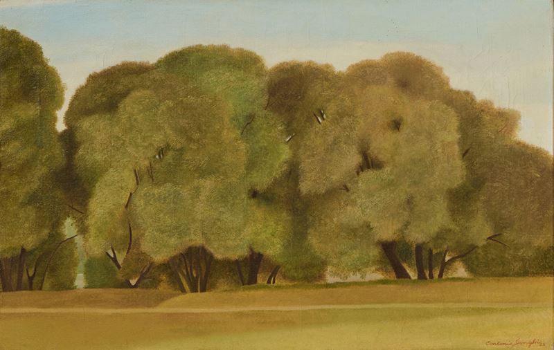 Alberi (Palatino)