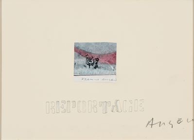 Reportage, tecnica mista e collage su cartoncino