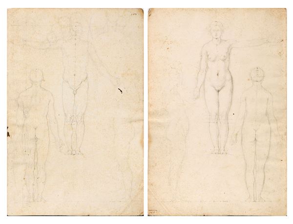 Scuola italiana fine XVII secolo - Studi di nudo maschile e studi di nudo femminile (tavole anatomiche)