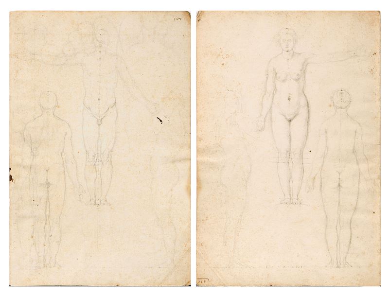 Studi di nudo maschile e studi di nudo femminile (tavole anatomiche)
