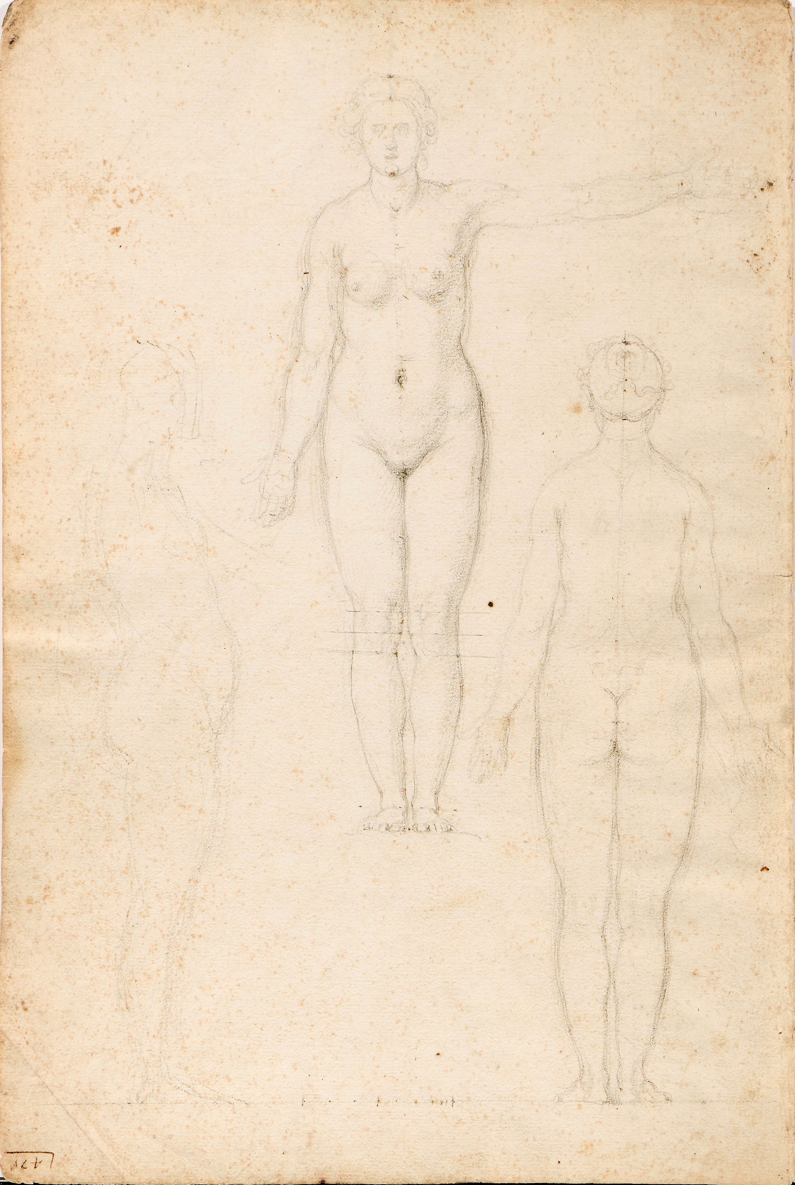 Studi di nudo maschile e studi di nudo femminile (tavole anatomiche)