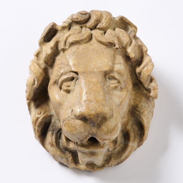 Testa di leone