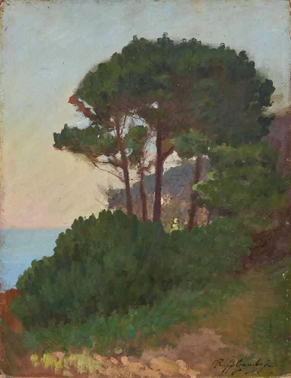 Raffaello Gambogi : Pini sul mare  - Olio su cartone - Asta Dipinti e Sculture del XIX e XX secolo - Casa d'aste Farsettiarte