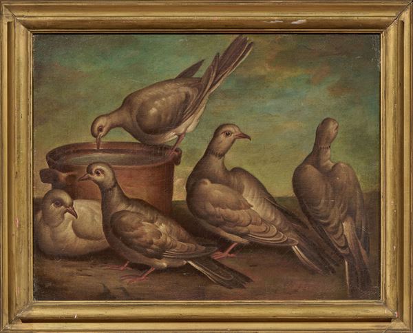 Ignoto del XVIII secolo - Colombi