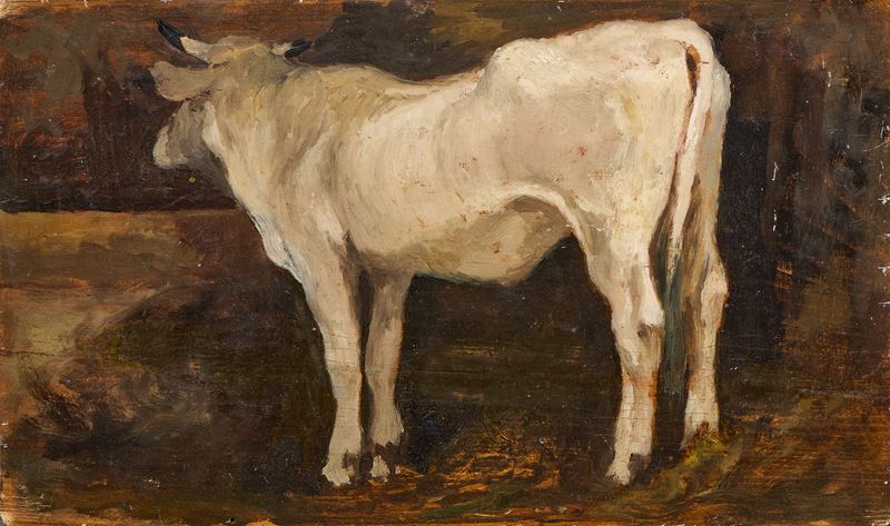 Vacca bianca nella stalla