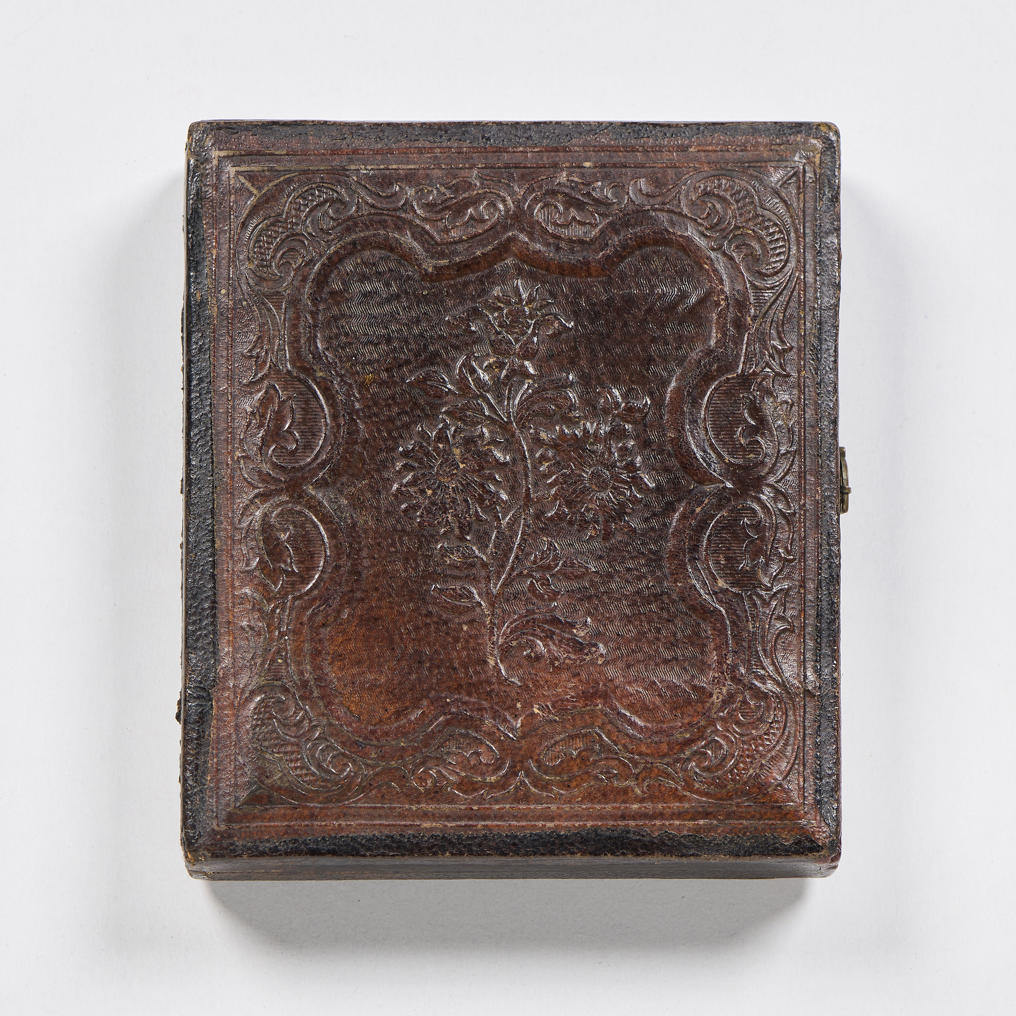 Dagherrotipo raffigurante «Ritratto di uomo con farfalla»