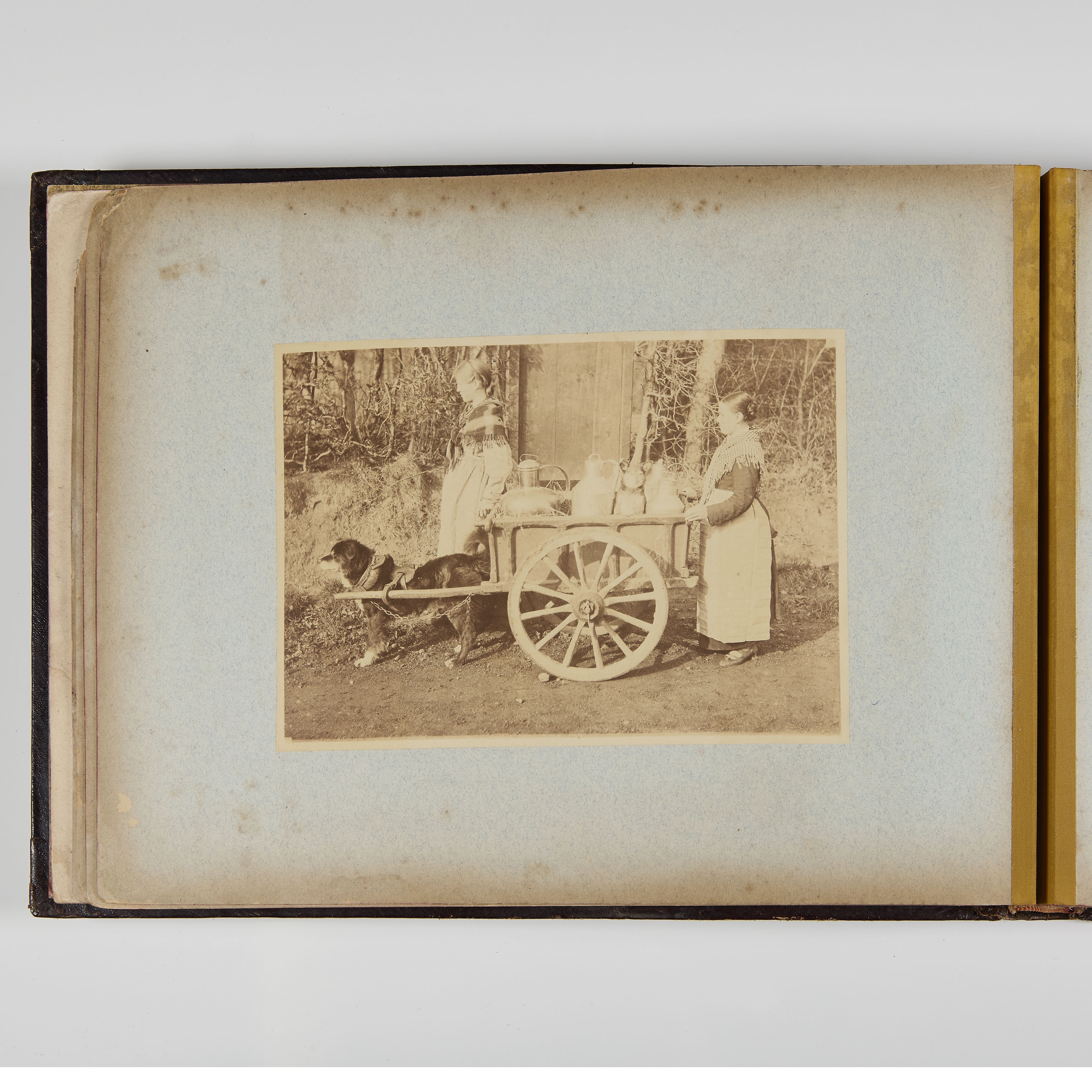 Album da viaggio oblungo, 1891-92