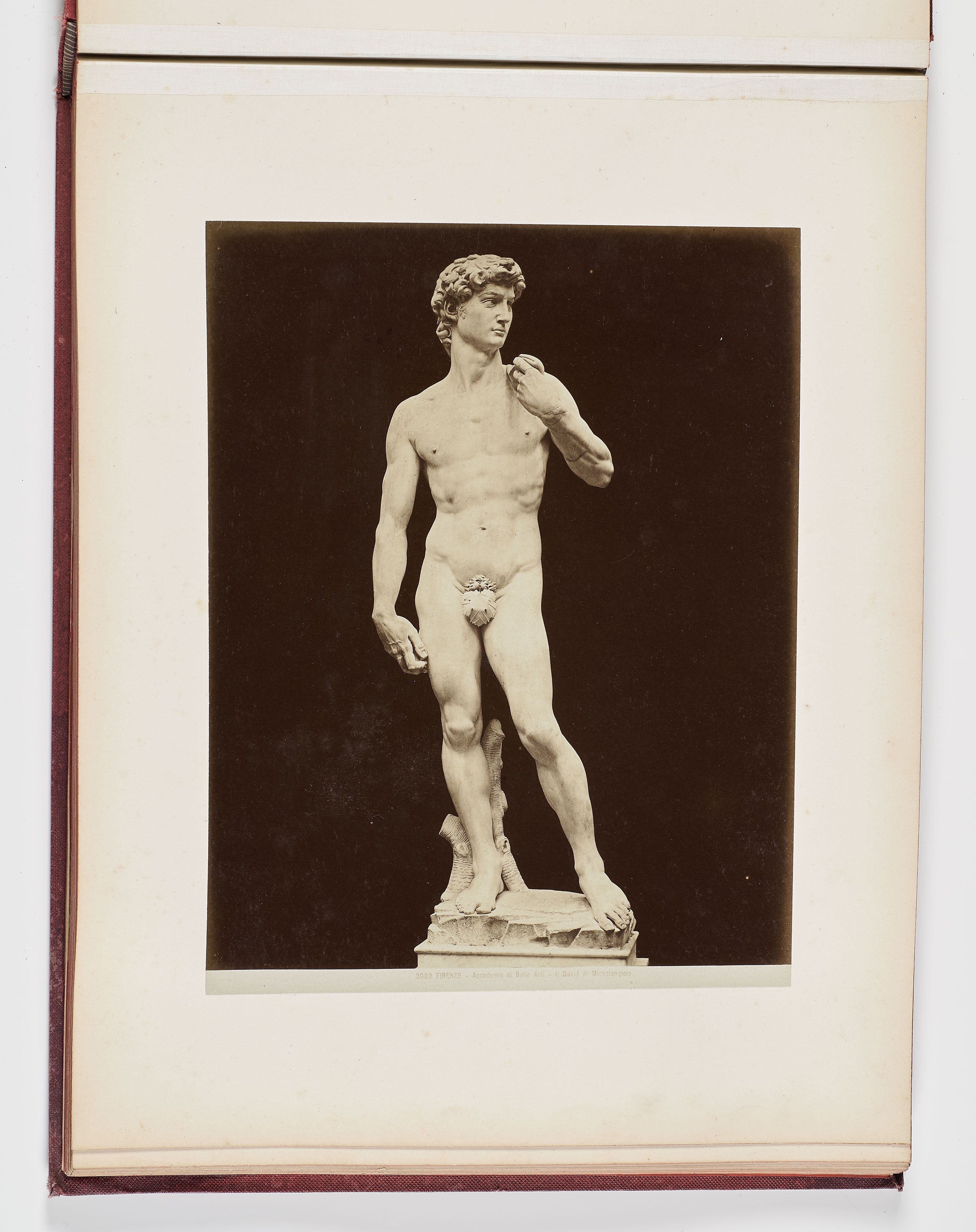 Giacomo Brogi, Album “Ricordo di Firenze”, 1870-80 ca.