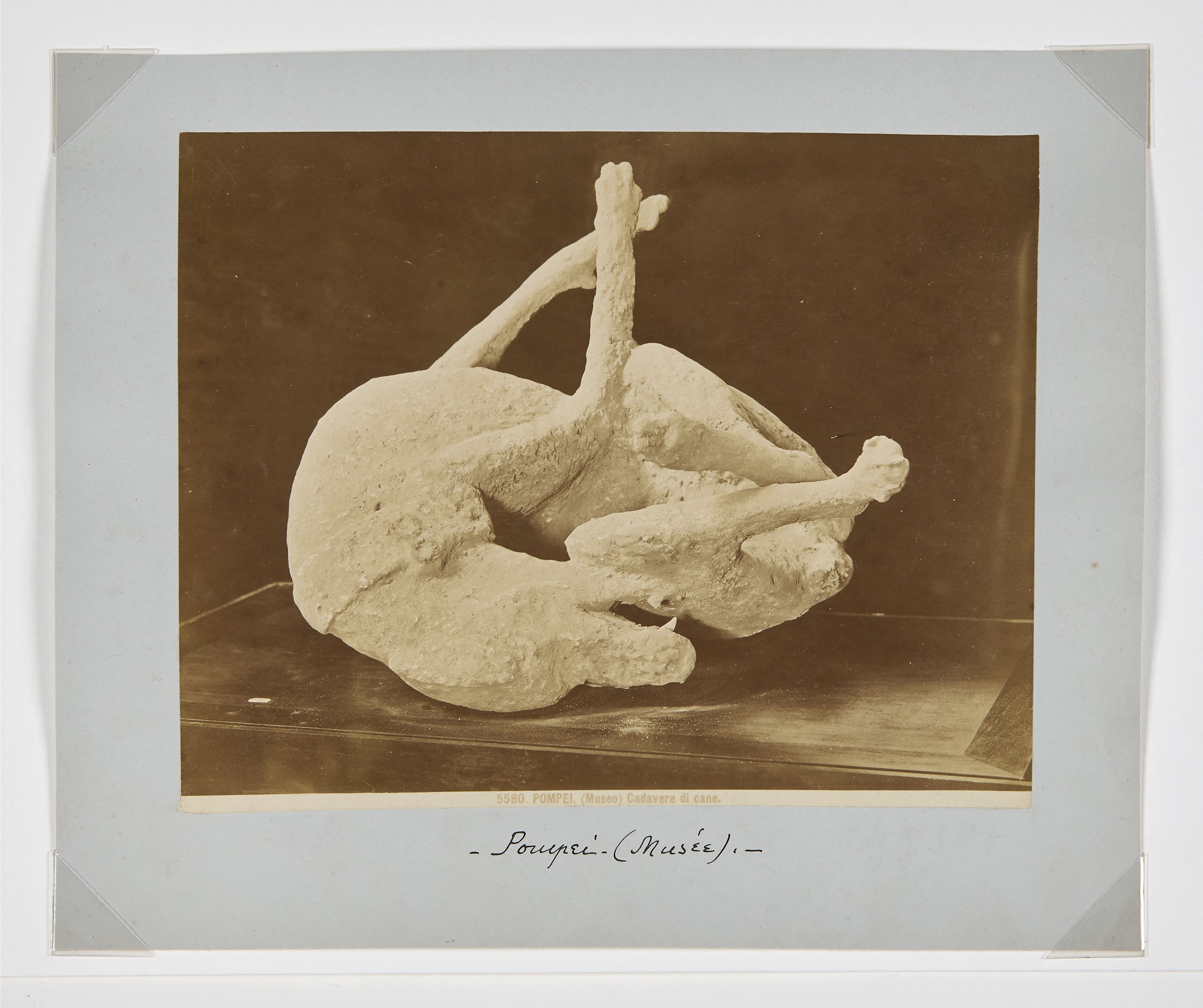 Cartella di 11 fotografie