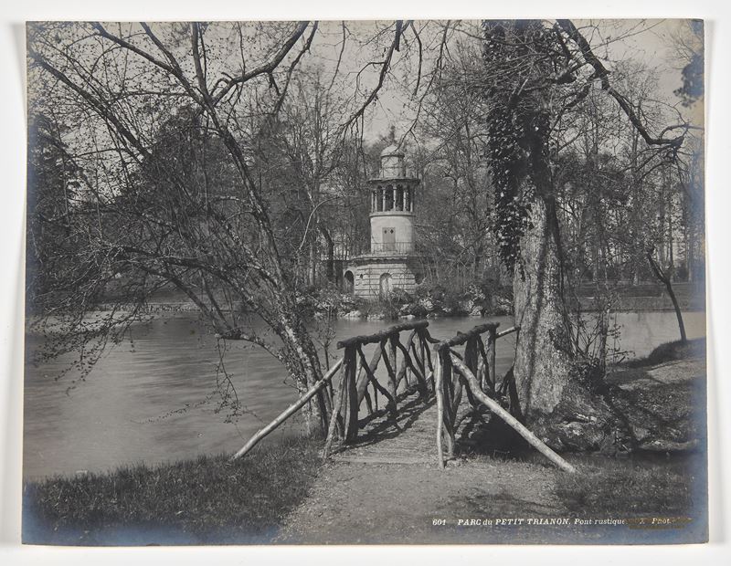 Cartella di 45 fotografie, lastre di dagherrotipo e una pannotipia