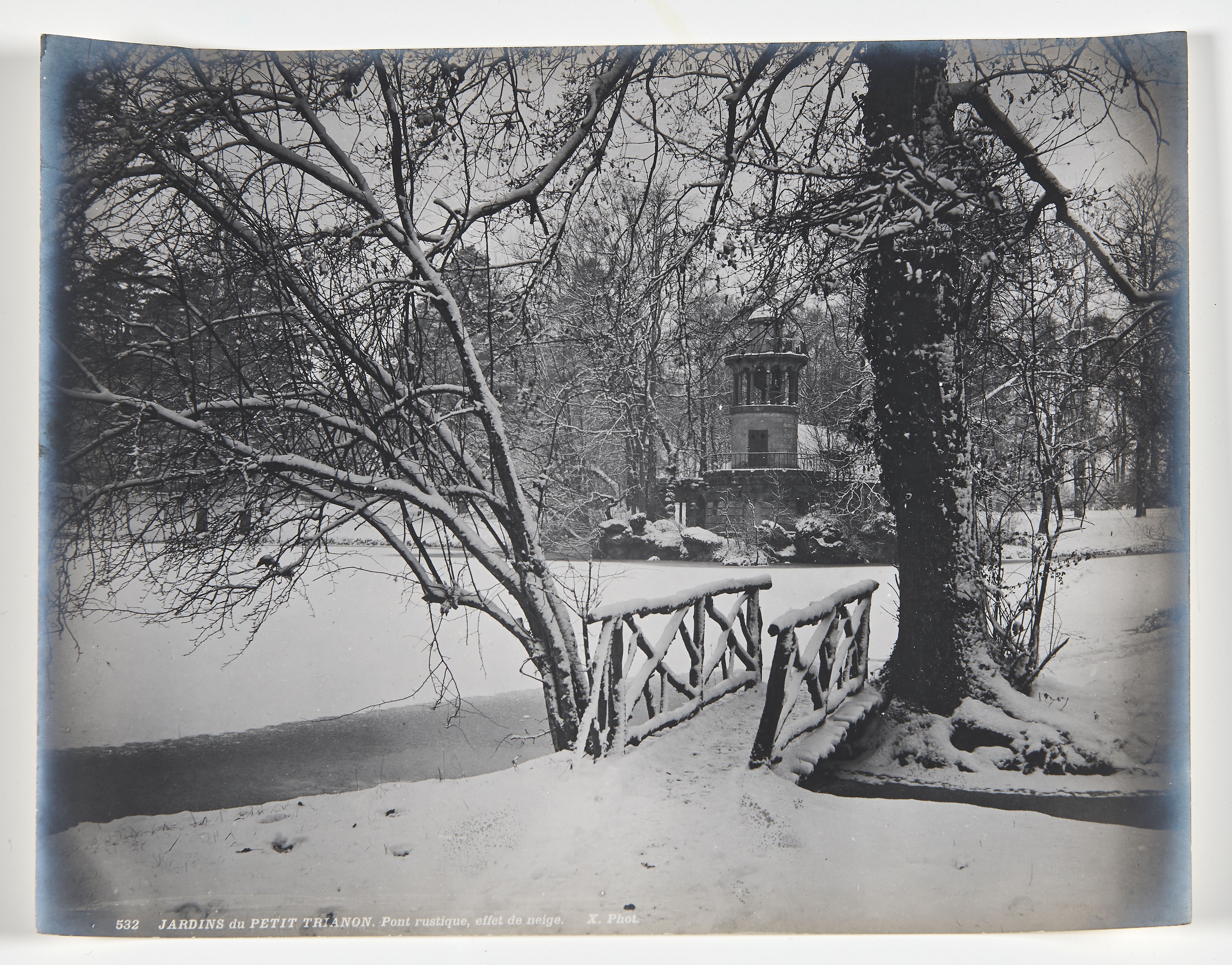 Cartella di 45 fotografie, lastre di dagherrotipo e una pannotipia