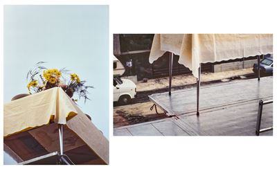 Due opere su alluminio in cibachrome (ed. 1/3), 1996