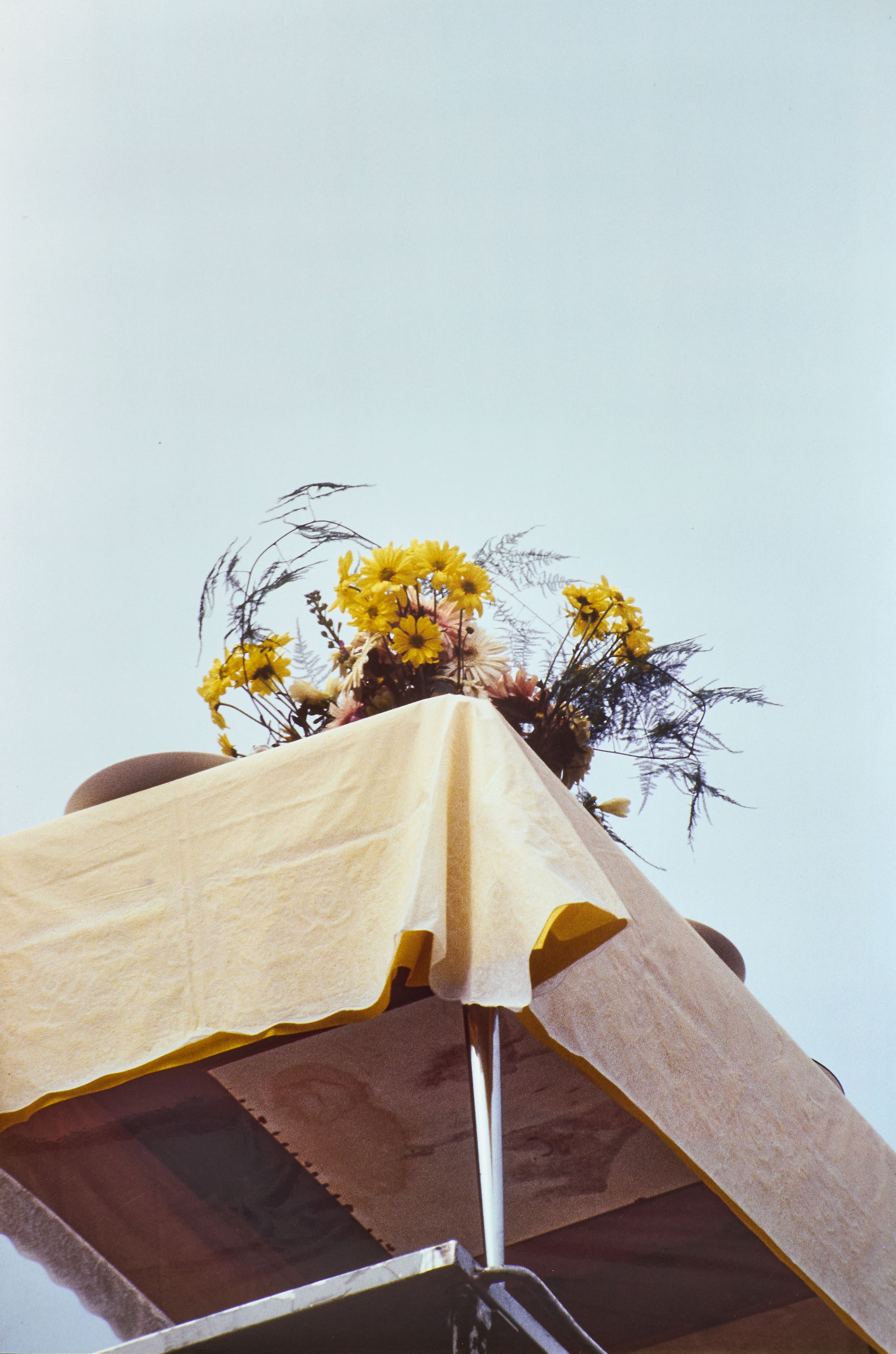 Giovanni Surace - Due opere su alluminio in cibachrome (ed. 1/3), 1996