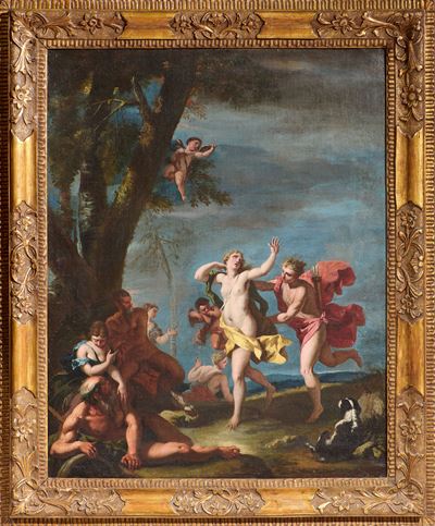 Dafne raggiunta da Apollo, olio su tela