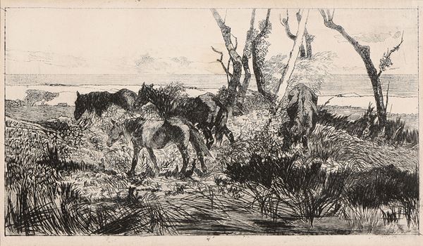 Giovanni Fattori : Pascolo di cavalli  - Acquaforte su zinco - Auction Nineteenth century, Post-Macchiaioli and Twentieth century - Online auction - Casa d'aste Farsettiarte