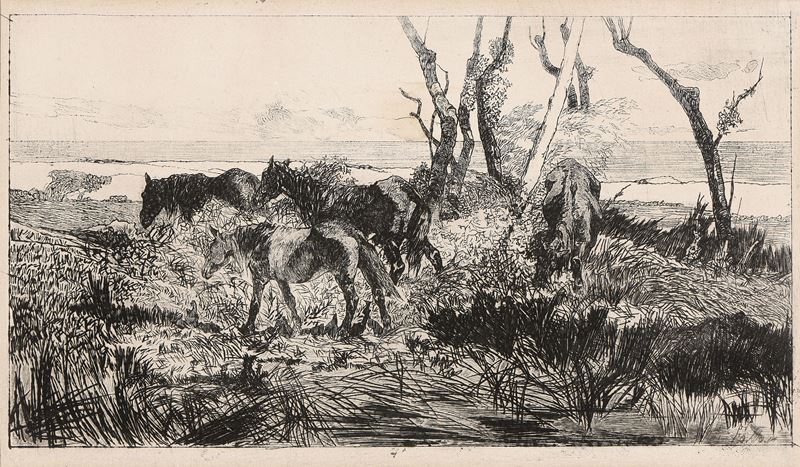 Giovanni Fattori - Pascolo di cavalli, acquaforte su zinco