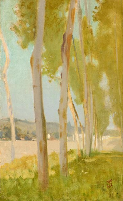 Strada alberata, olio su tela