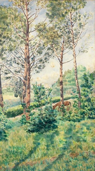 Paesaggio