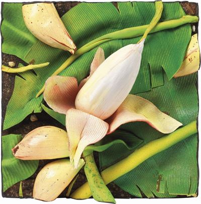 Fiore di Banano