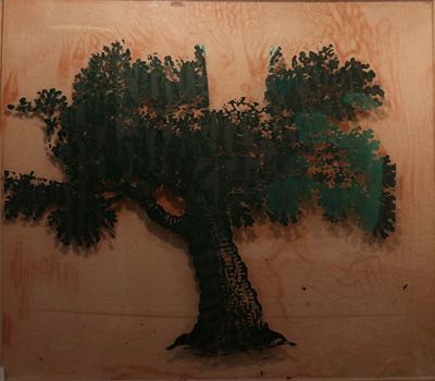 Albero