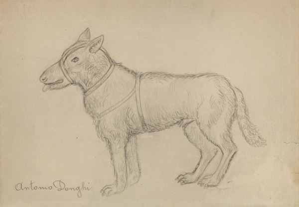 Antonio Donghi - Cane