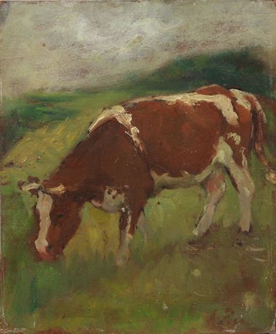 Mucca