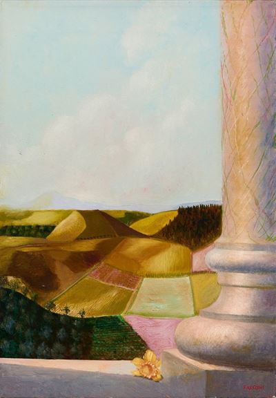 Narciso Timido