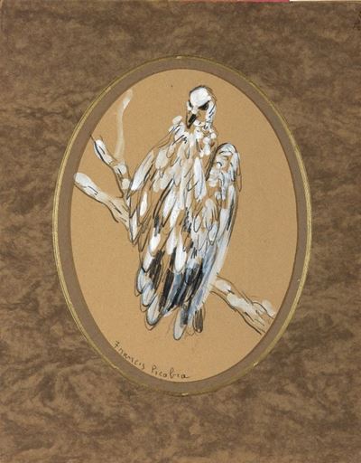 Uccello sul Ramo