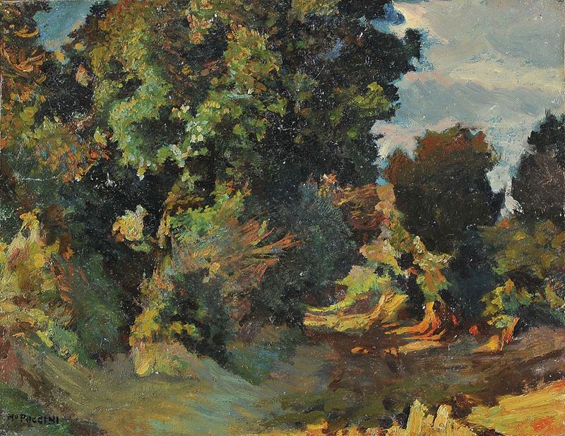 Mario Puccini - Bosco