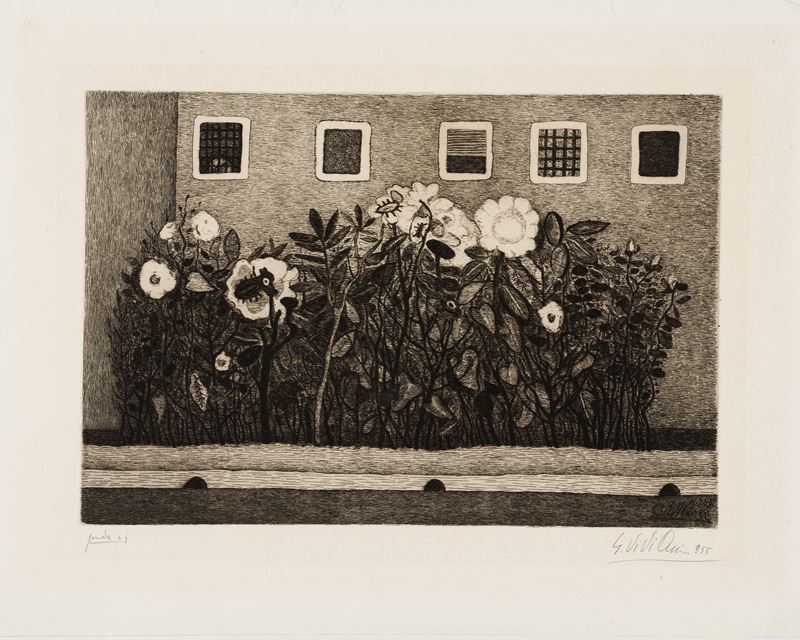 Fiori della prigione