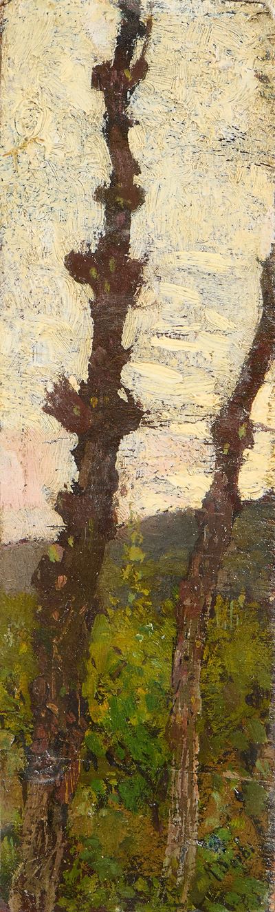 Albero