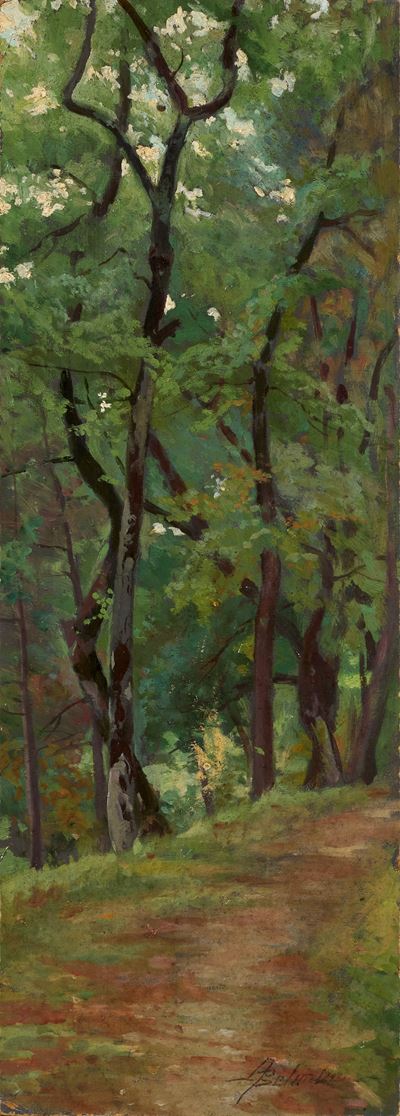 Viottola e Alberi
