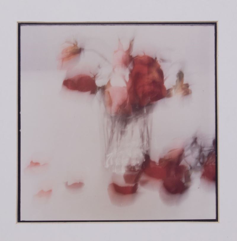 Toni Catany - Still Life