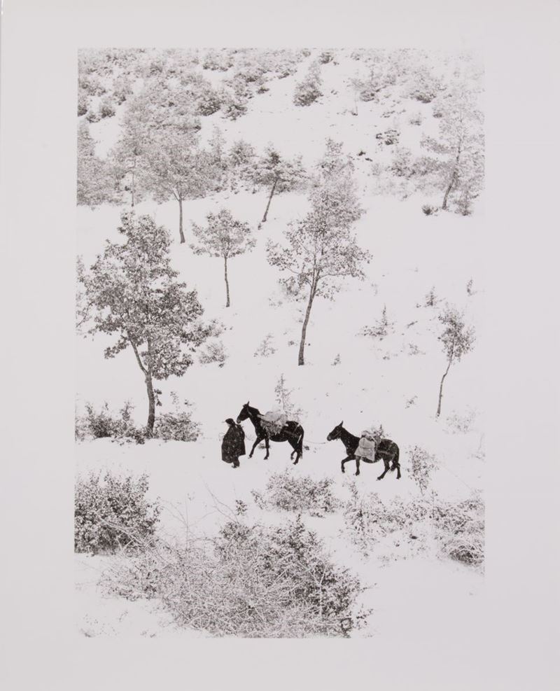Fulvio Roiter - Umbria