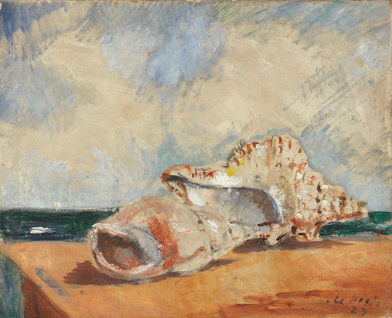 Natura morta marina con conchiglie