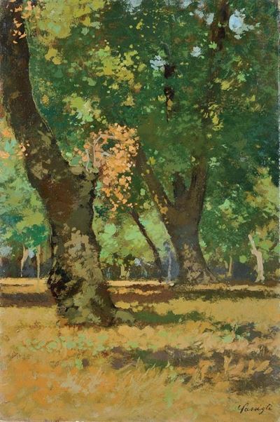 Alle Cascine