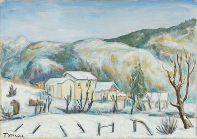Paesaggio Innevato