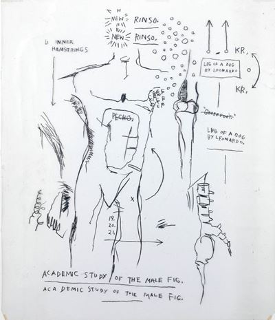 Anatomy II
