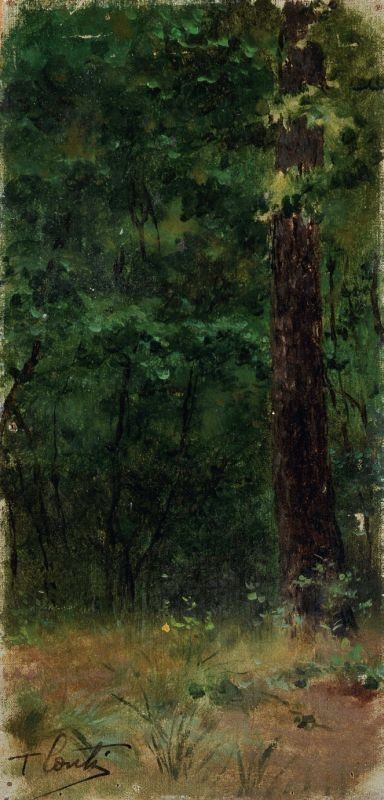 Tito Conti - Bosco