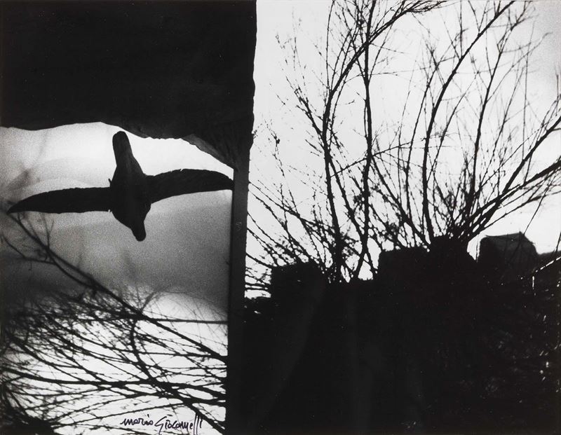 Mario Giacomelli - Senza Titolo